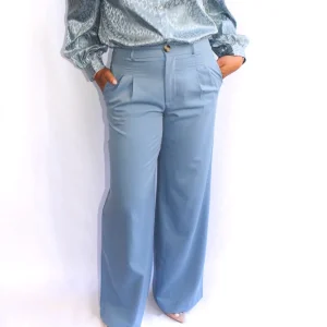 High Rise Wide Leg Plets with Button Closure